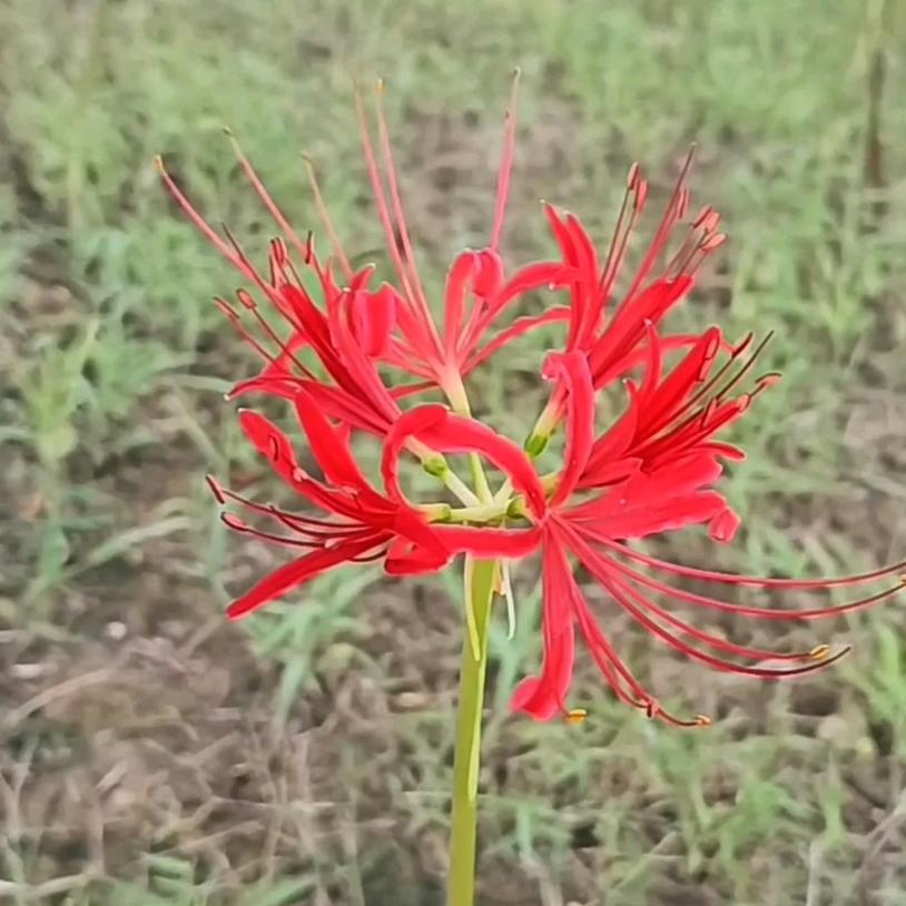 无话说，无人诉