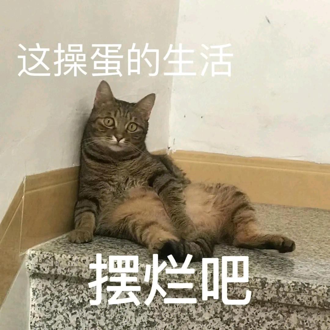 潘二狗