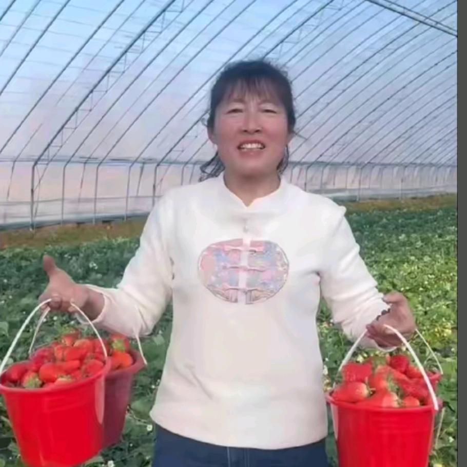 安丘田园草莓李姐