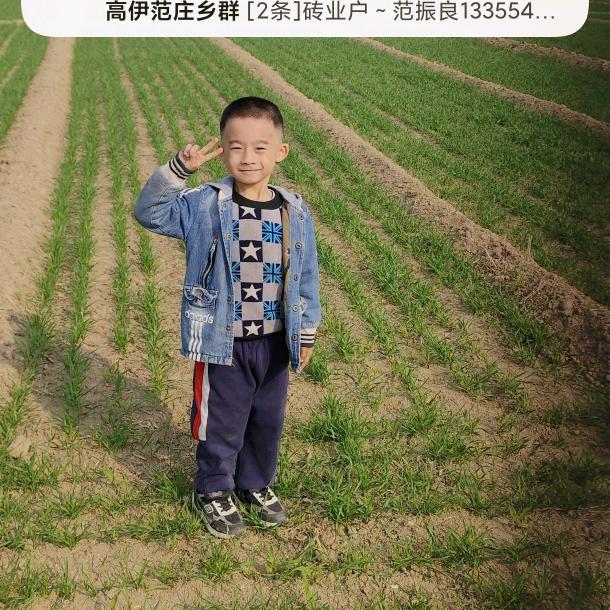 新华