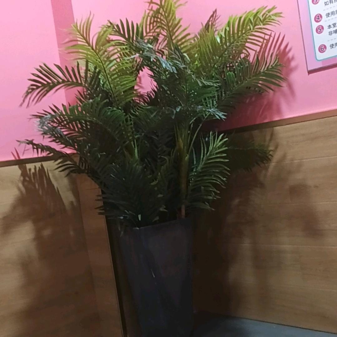 屿恒宝宝