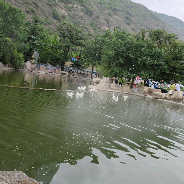 💐((🌺蓓🌺))🌹