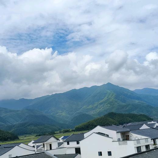小马哥