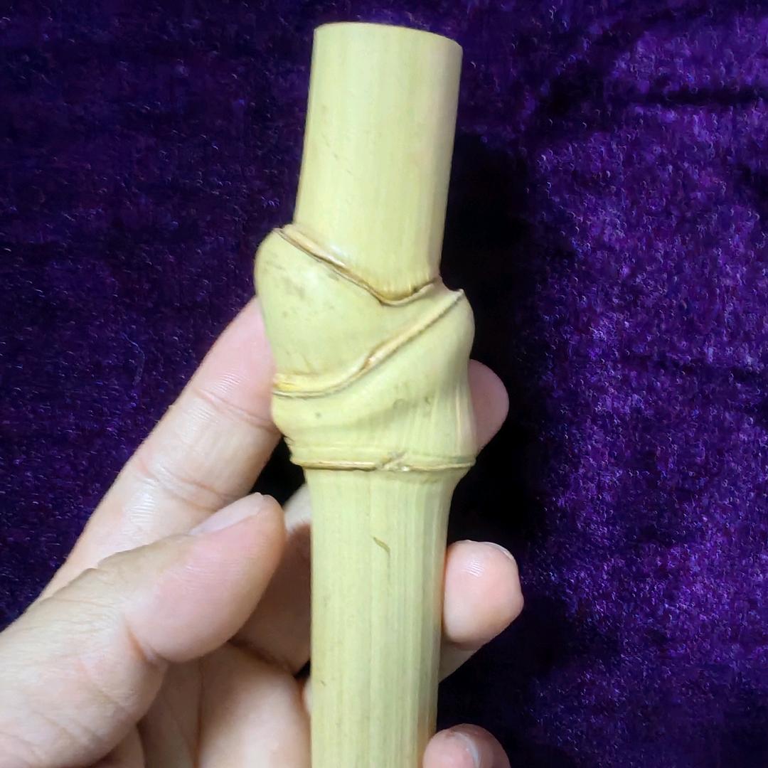 啵仔 （实心玉竹）