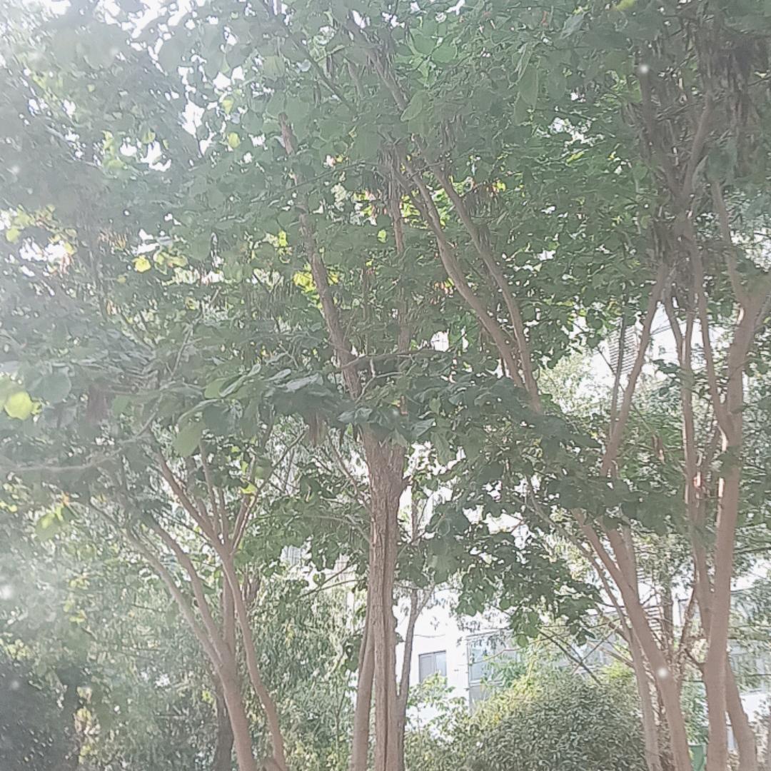 用户4265038720926疯子