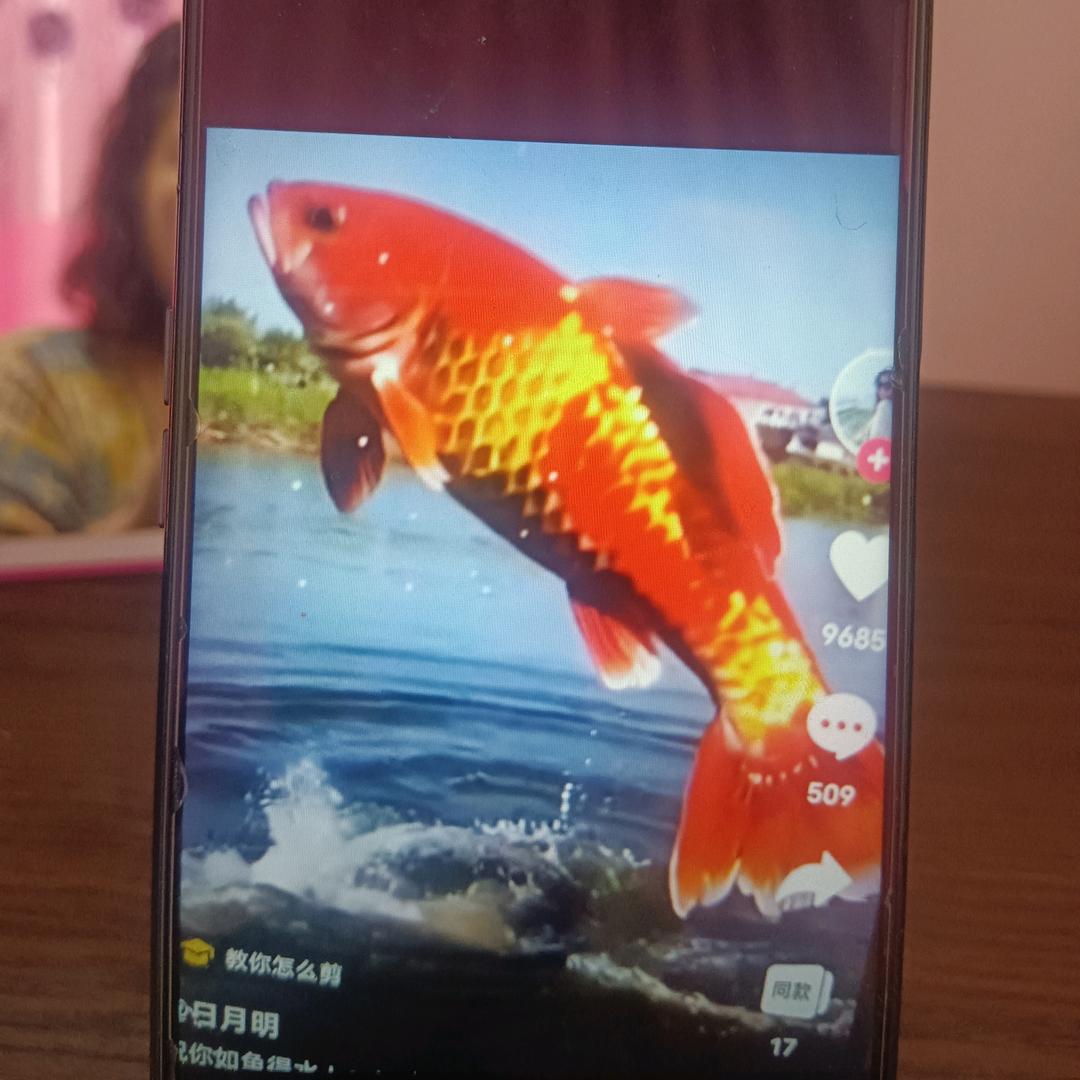 润风