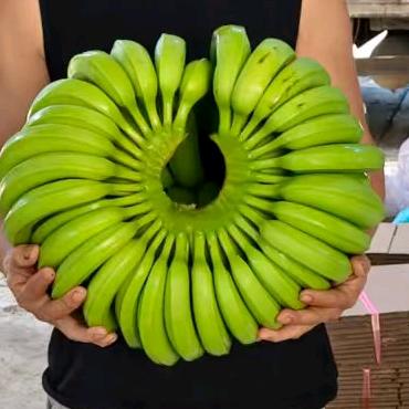 梁仔回村（凤凰鸿粤）