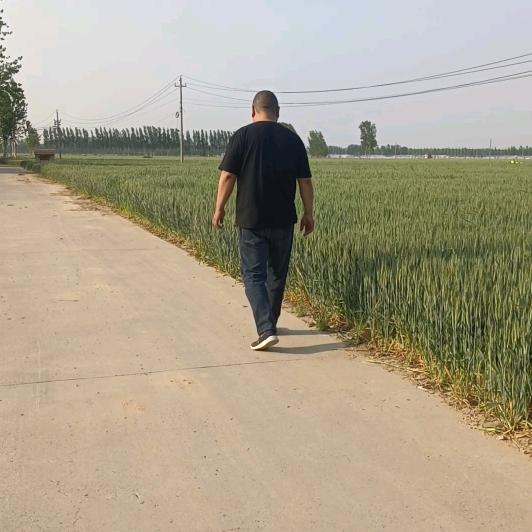 农村小李
