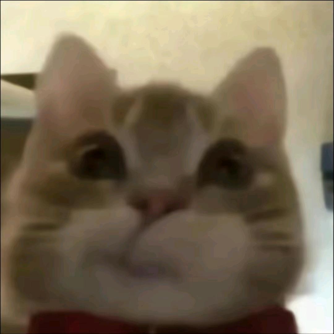 吃点阳光青提