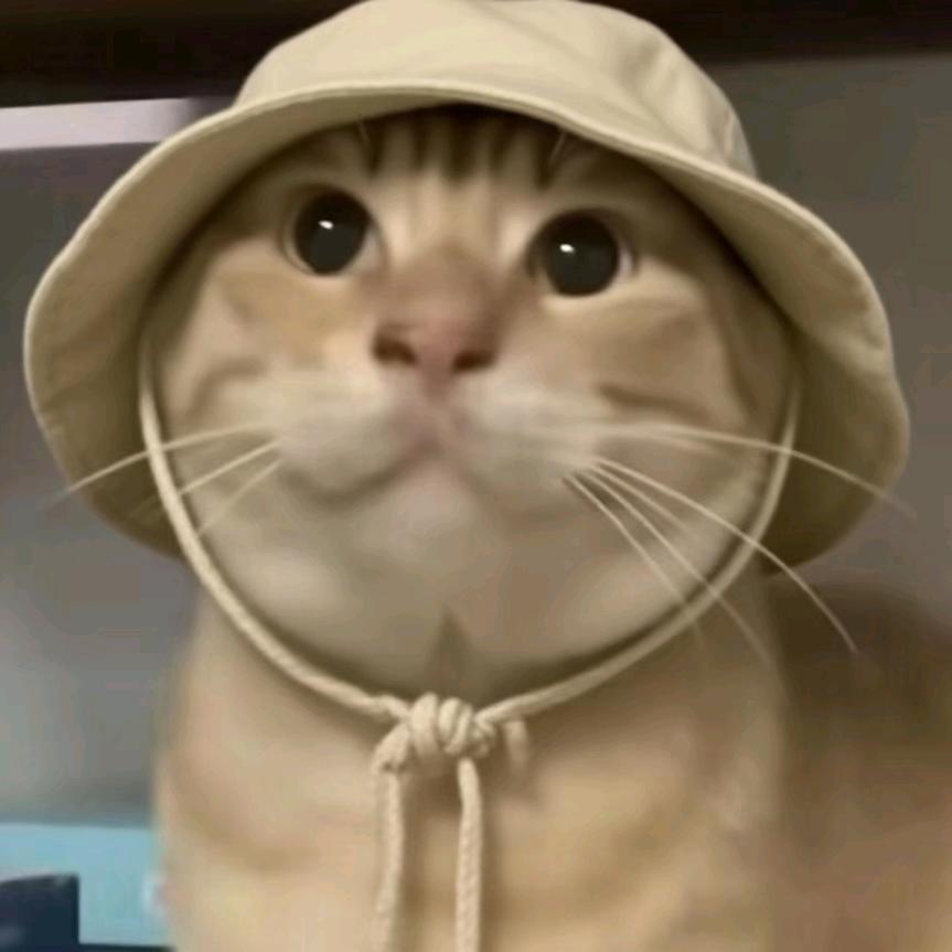 西瓜冰淇淋