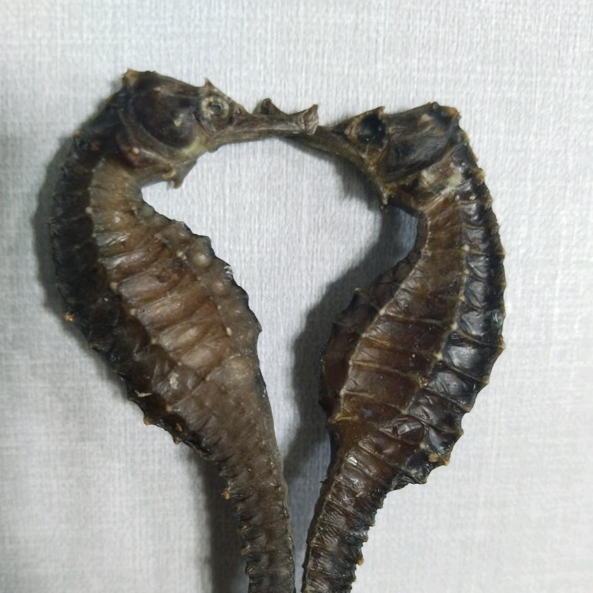 阿明