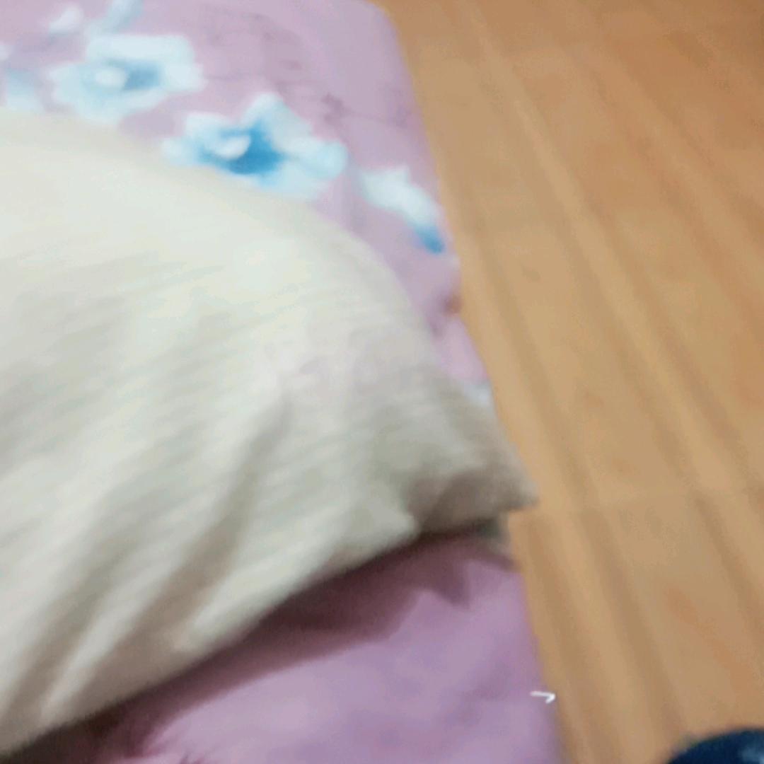 小花猫