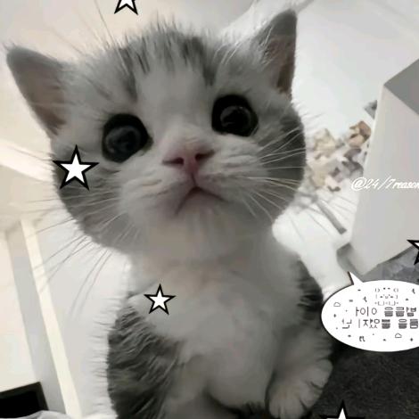 妥协