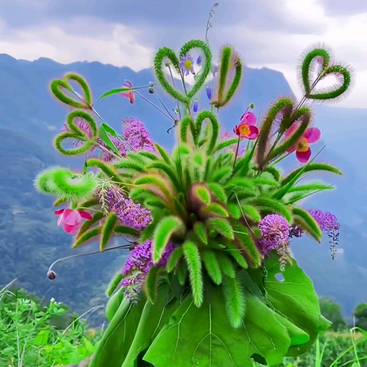 静心悟