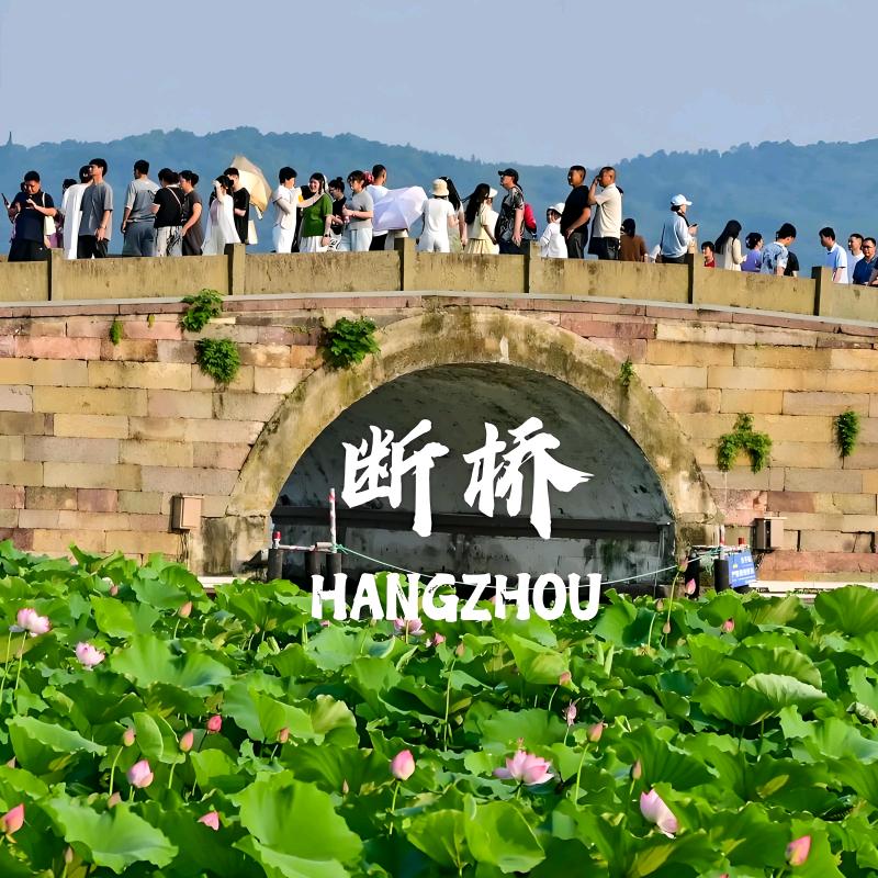 邱设计师说茶