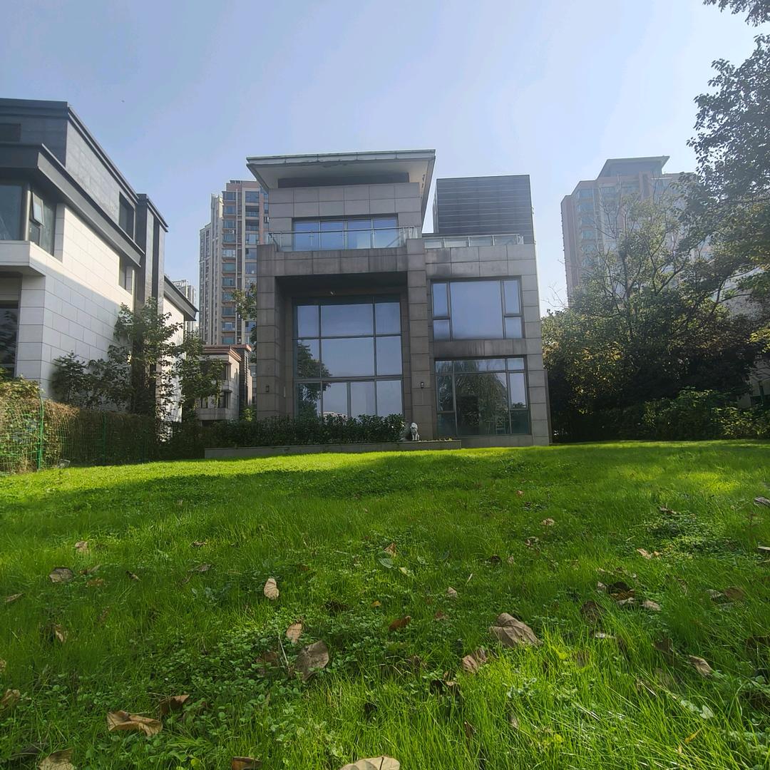 武汉独栋别墅买卖设计装修