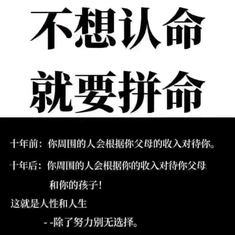 大贰娱乐新主播