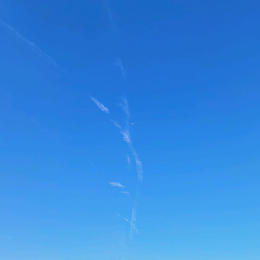 我就是这个意思