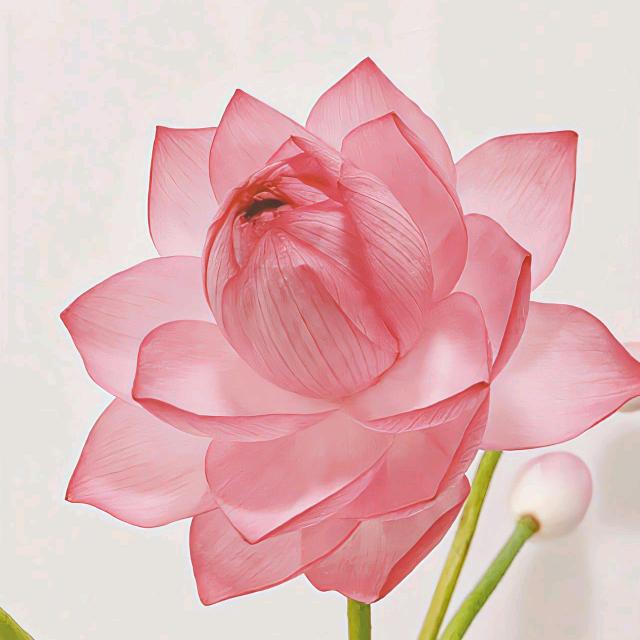 淡然
