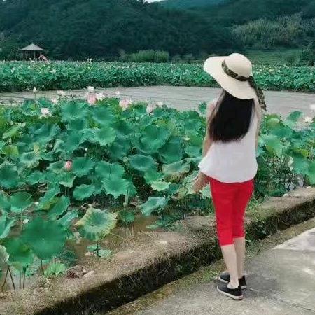 舞莲