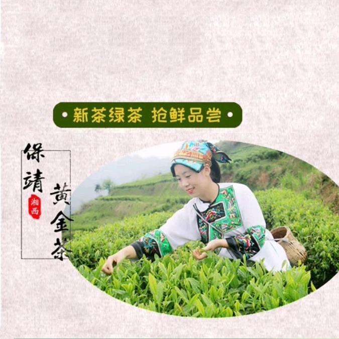 白甜甜正宗茶