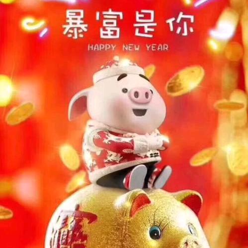 傻🐷🐷
