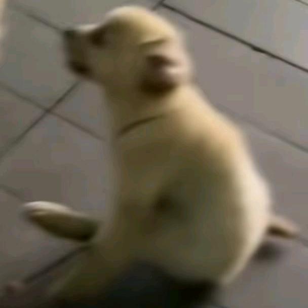 清风寄我情