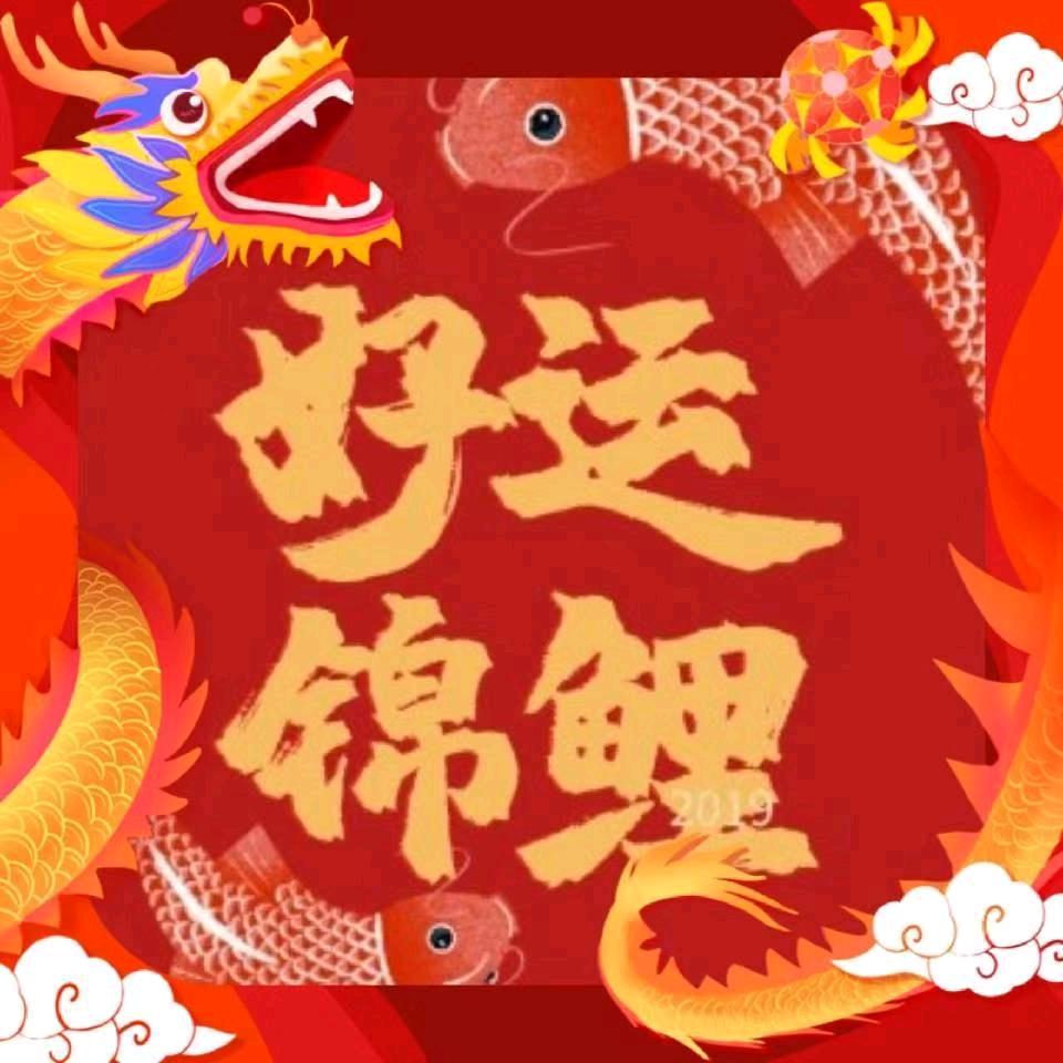 好运锦鲤🐉