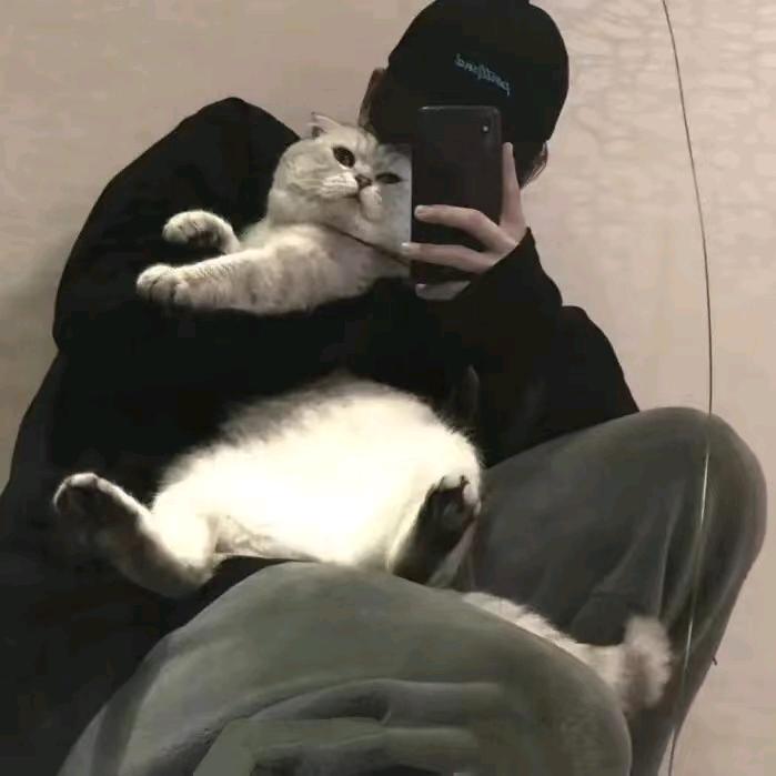 小呆呆哟（日更版）