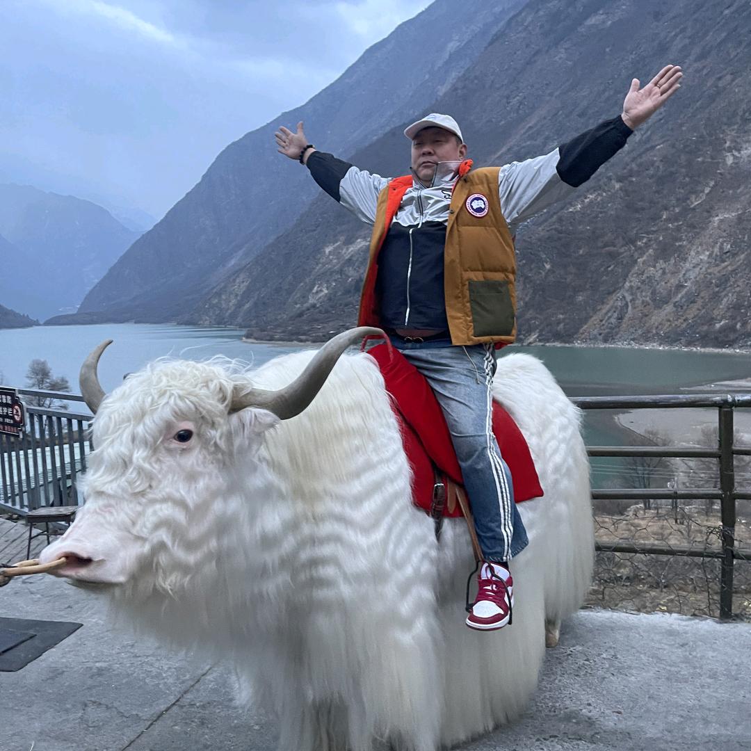 英雄大飞🦅
