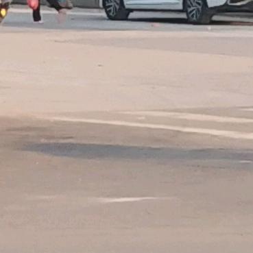 魚恋海
