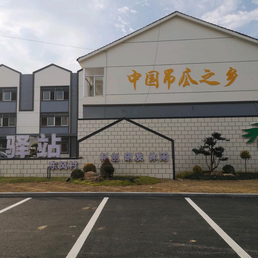 中国吊瓜之乡东风村