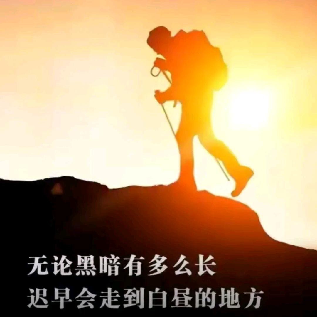 反诈骗历史哥
