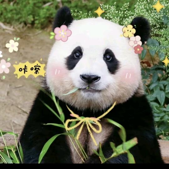 冒凉风儿，🌺