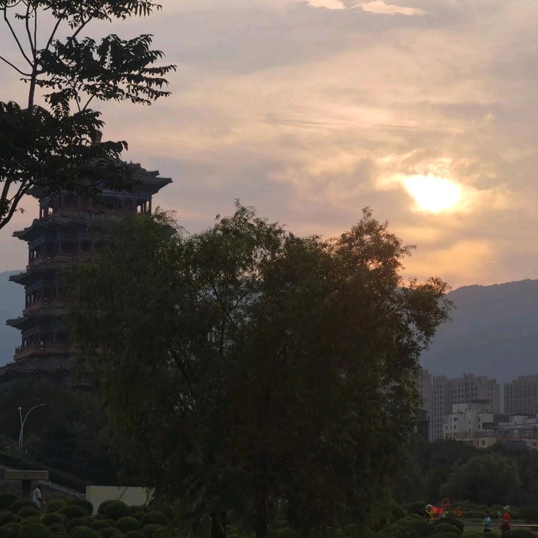 酒沏茶