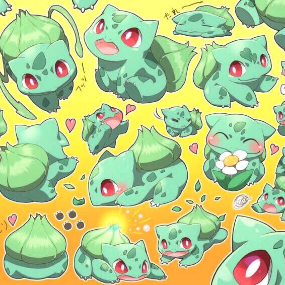 ✨奇异·D·种子✨