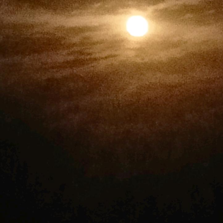 烟火晚-