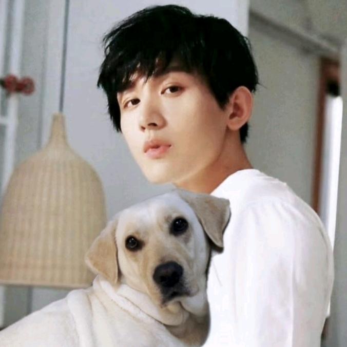 李莲花（12号《长安二十四计》