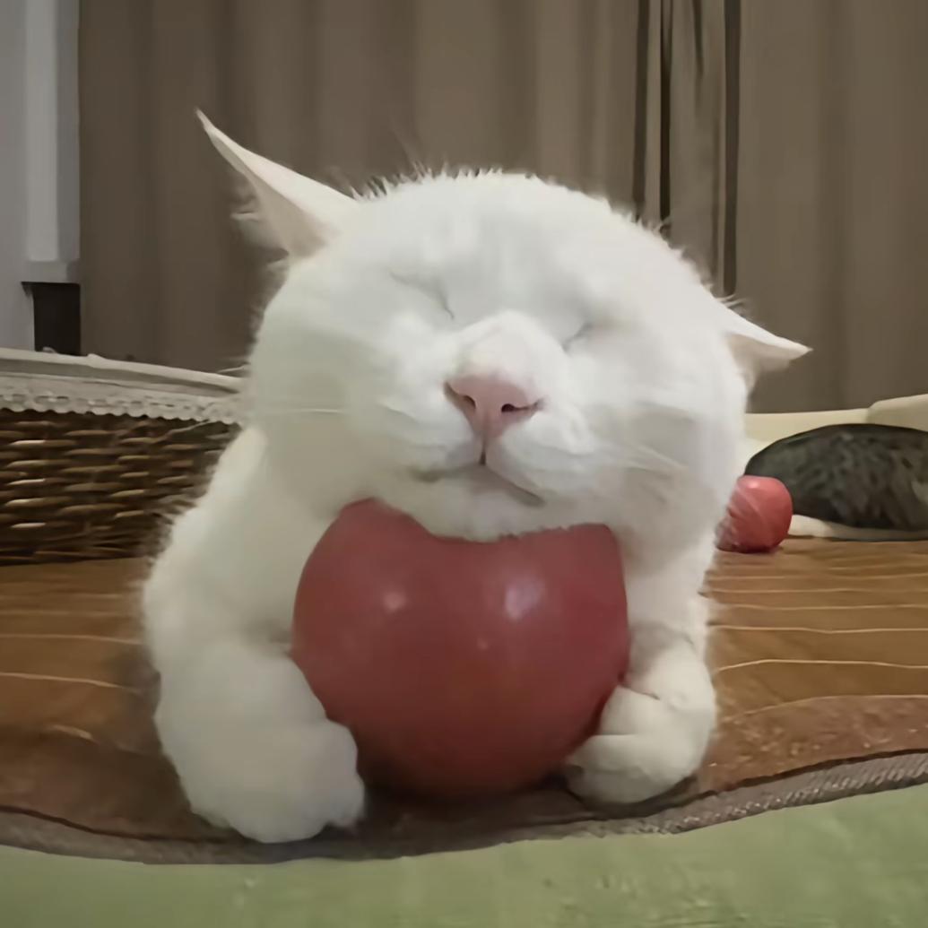 吃嘛嘛香身体倍棒财源广进好运连连