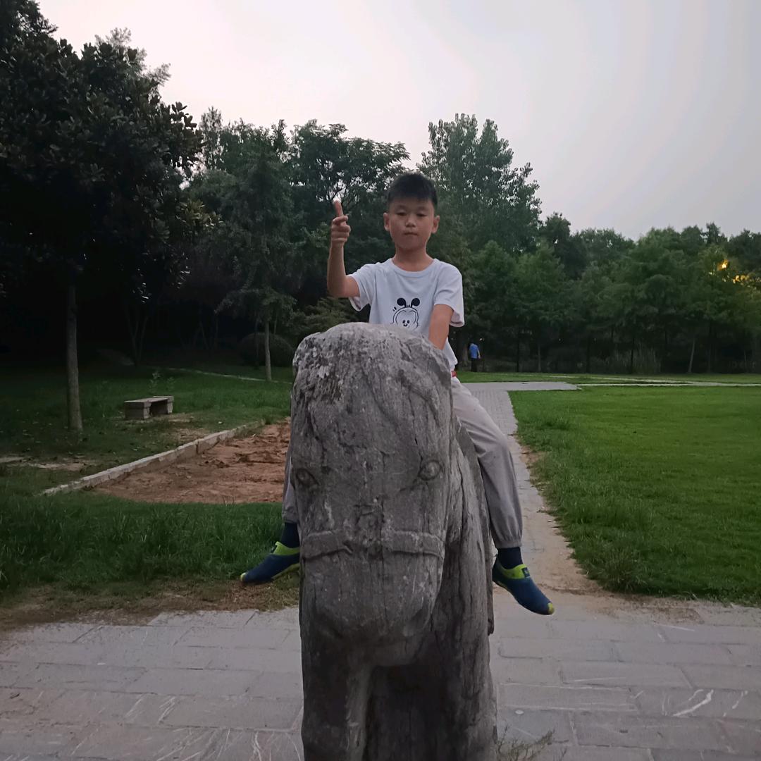 金龙