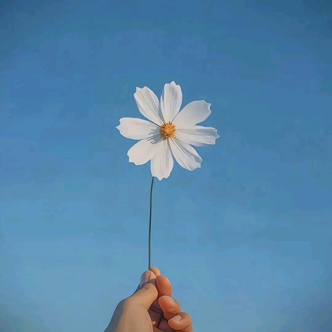 阿妍