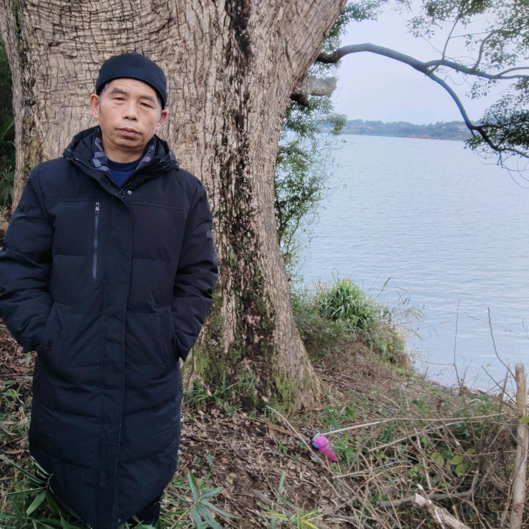 老宋在菩提树下
