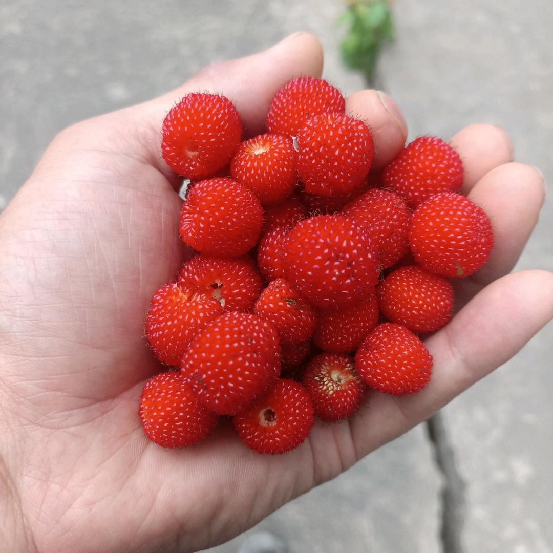 余生♡随缘