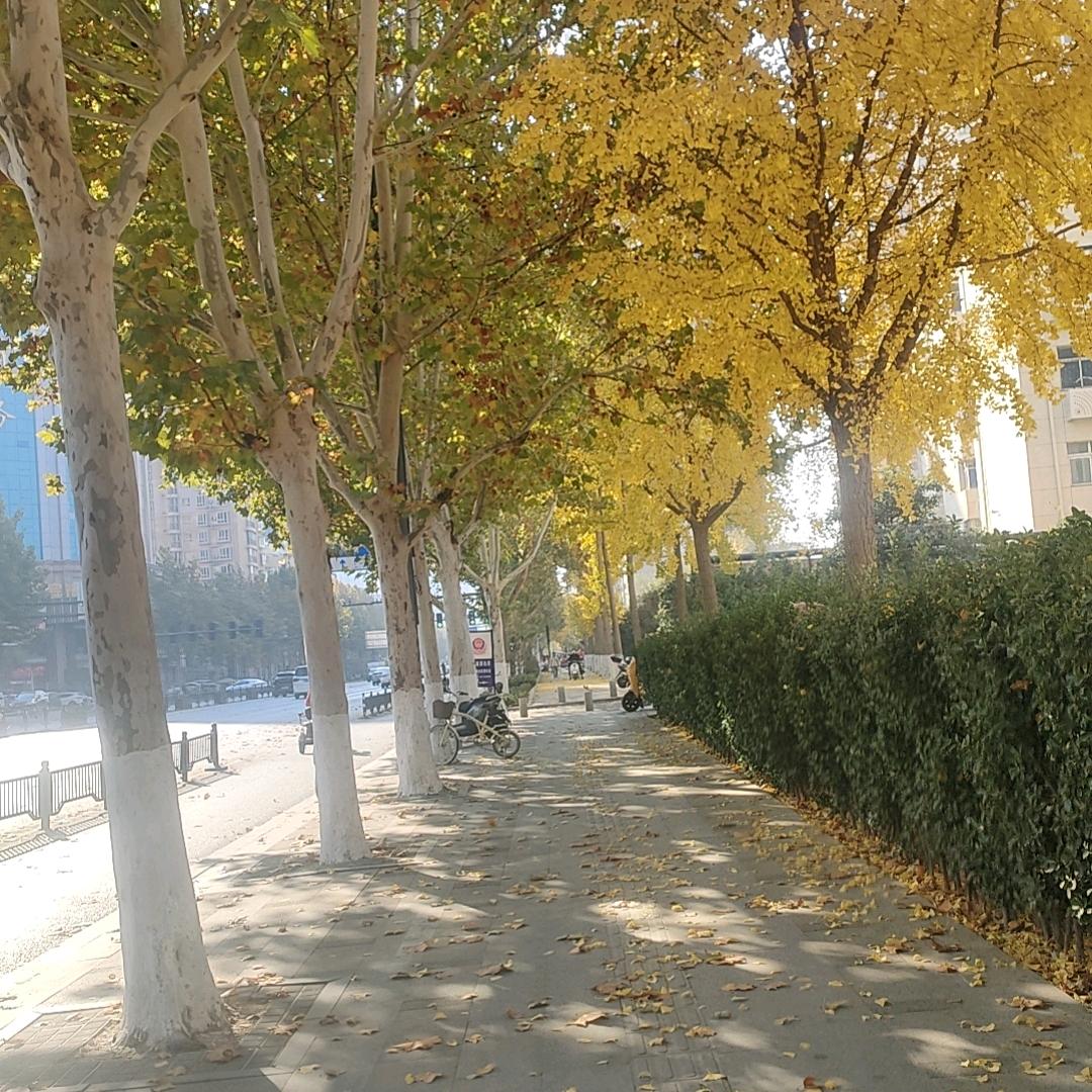 李梦没烦恼