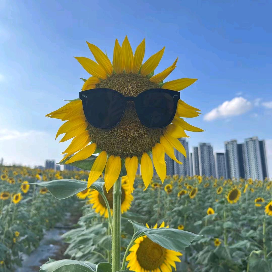 芽🌱
