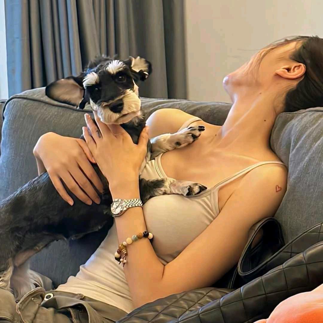 小土豆🥔