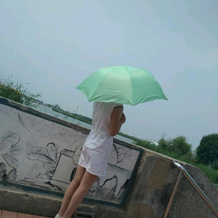 菊姐