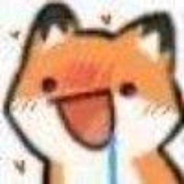 鱼呢！