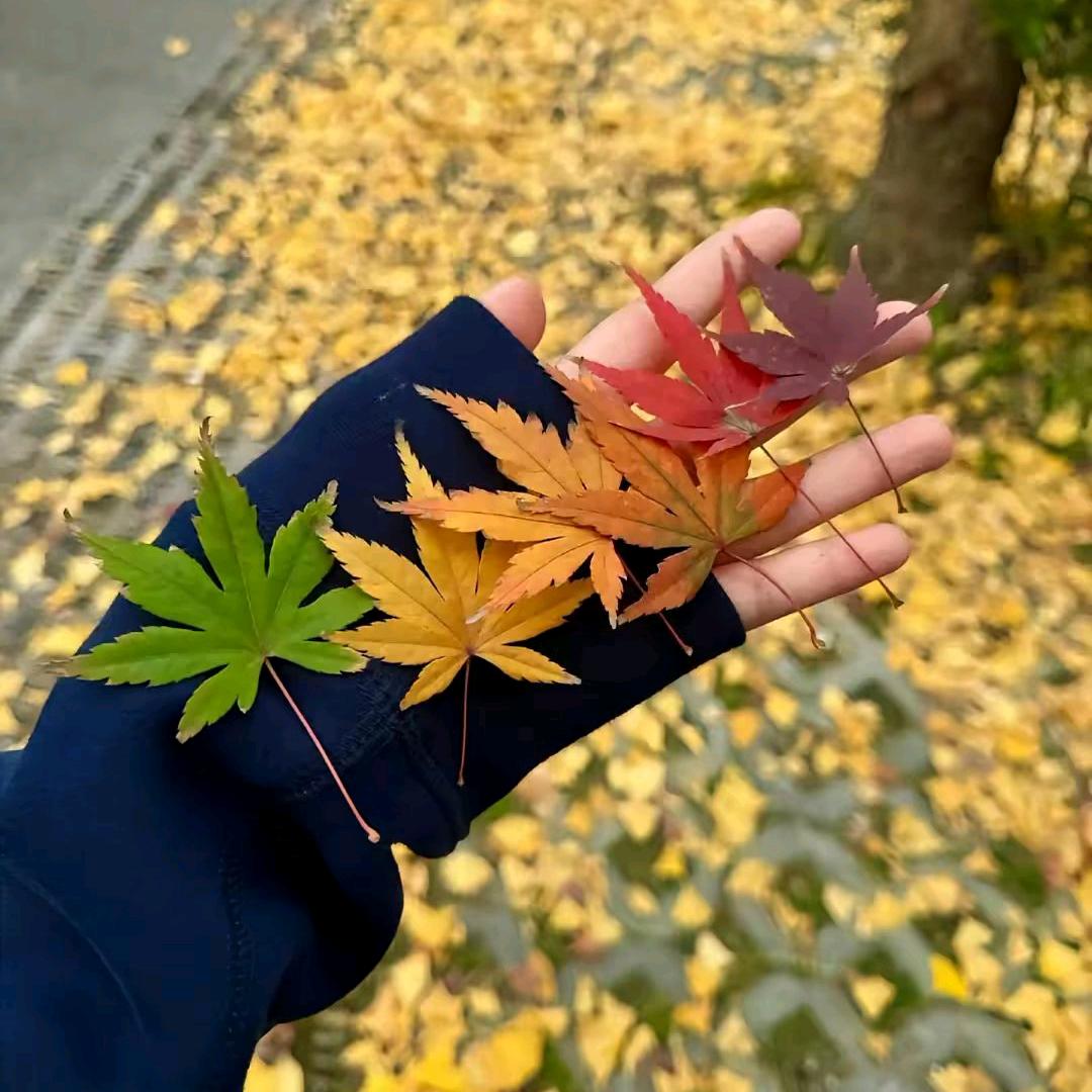 亿点生活