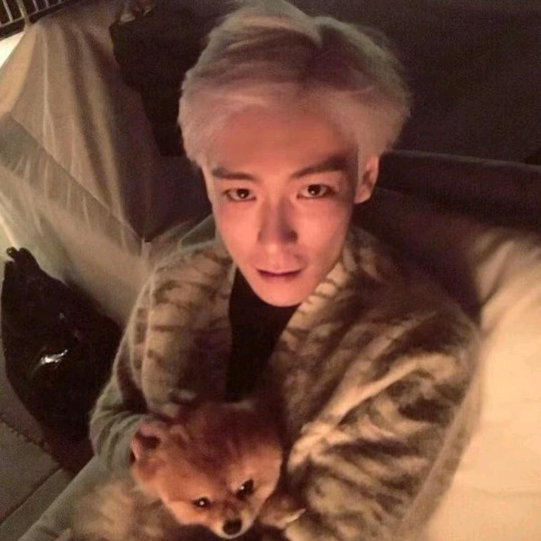 耳机里的是电子止痛药